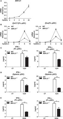 MicroRNA-21: A Positive Regulator for Optimal Production of Type I and Type III Interferon by Plasmacytoid Dendritic Cells